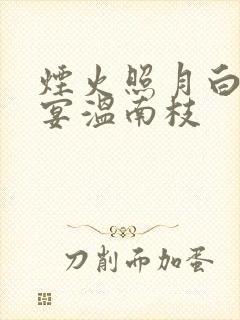 烟火照月白沈清宴温南枝