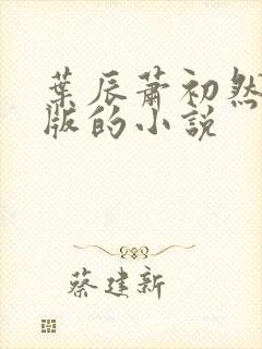 叶辰萧初然最新版的小说