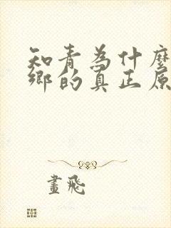 知青为什么要下乡的真正原因