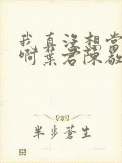 我真没想当皇帝啊叶君陈敬