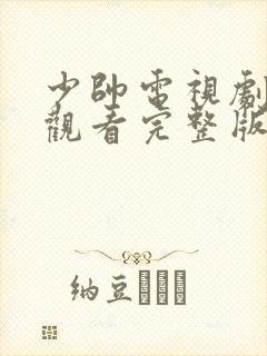 少帅电视剧免费观看完整版在线看