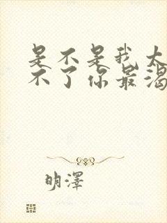 是不是我太笨给不了你最渴望的安稳是什么歌