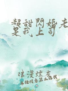 超甜闪婚老公竟是我上司