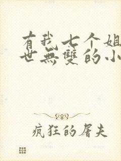 有我七个姐姐绝世无双的小说