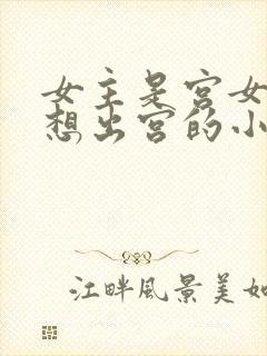 女主是宫女一心想出宫的小说