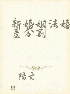 新婚姻法婚后财产分割