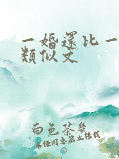 一婚还比一婚高类似文