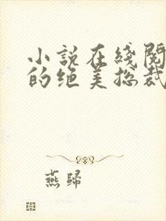 小说在线阅读我的绝美总裁老婆