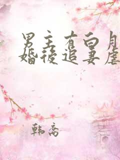 男主有白月光的婚后追妻虐文