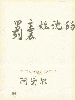 男主姓沈的小说列表