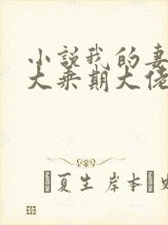 小说我的妻子是大乘期大佬txt下载