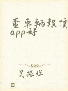 查车辆报价哪个app好