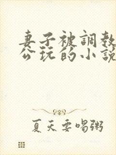 妻子被调教给老公玩的小说