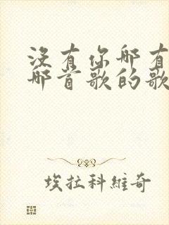 没有你哪有家是哪首歌的歌词