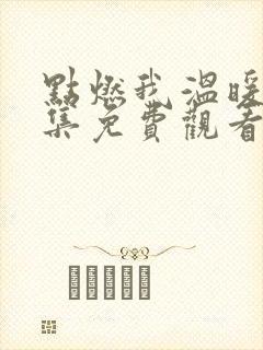 点燃我温暖你全集免费观看完整版