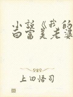 小说《我的总裁白富美老婆》