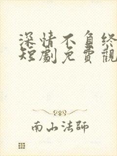 深情不负终遇你短剧免费观看全集