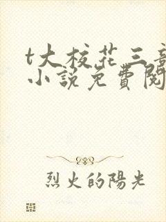 t大校花三部曲小说免费阅读全文