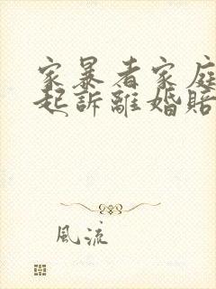 家暴者家庭暴力起诉离婚赔偿