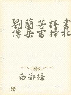 刘兰芳评书岳飞传岳雷扫北