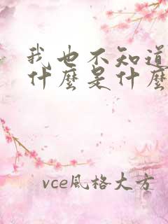 我也不知道爱你什么是什么歌