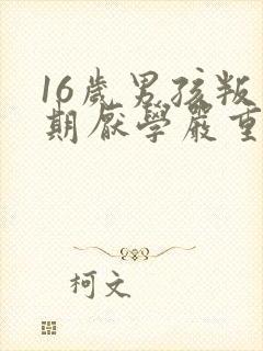 16岁男孩叛逆期厌学严重怎么办