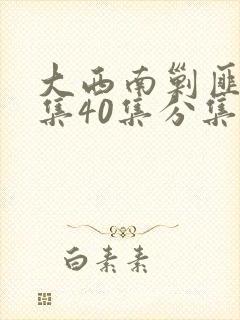 大西南剿匪记全集40集分集
