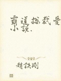 霸道总裁爱上我小说.