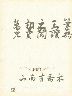 万相之王笔趣阁免费阅读无弹窗