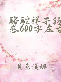 骆驼祥子的读后感600字左右初一