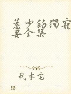 叶少的独宠小娇妻全集