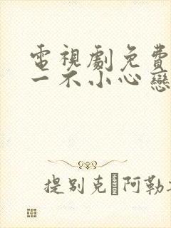 电视剧免费全集一不小心恋爱了