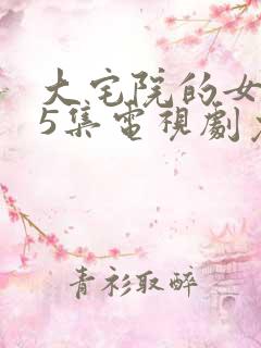 大宅院的女人45集电视剧免费观看