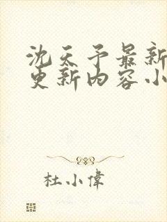 沈天予最新章节更新内容小说