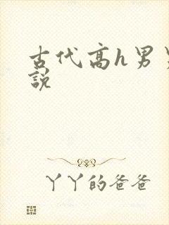 古代高h男男小说
