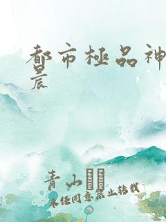 都市极品神医叶晨