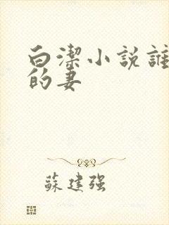 白洁小说谁是谁的妻