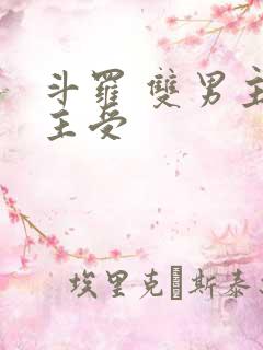 斗罗 双男主 主受