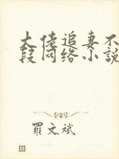 大佬追妻不择手段网络小说