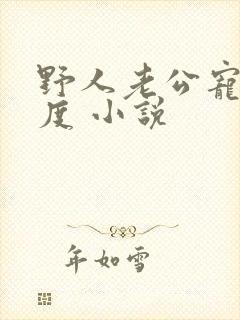 野人老公宠妻无度 小说