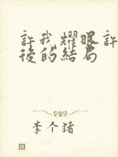 许我耀眼许妍最后的结局