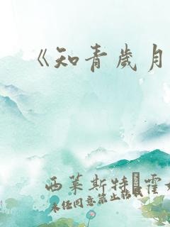《知青岁月》