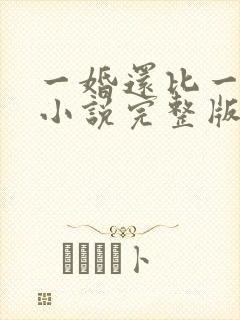 一婚还比一婚高小说完整版全文阅读