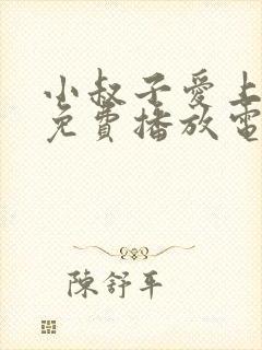 小叔子爱上嫂子免费播放电视剧中字