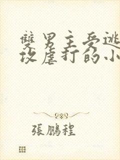 双男主受逃跑被攻虐打的小说