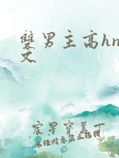 双男主高hnp文