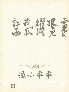 许我耀眼电视剧西瓜网免费观看