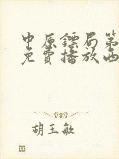 中原镖局第三部免费播放西瓜影院