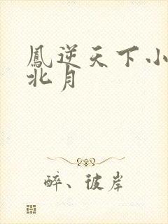 凤逆天下小说凰北月