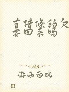 有借条的欠款能要回来吗